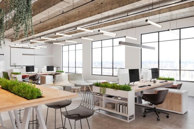 A bright, modern open-plan office space featuring wooden desks and green plants.